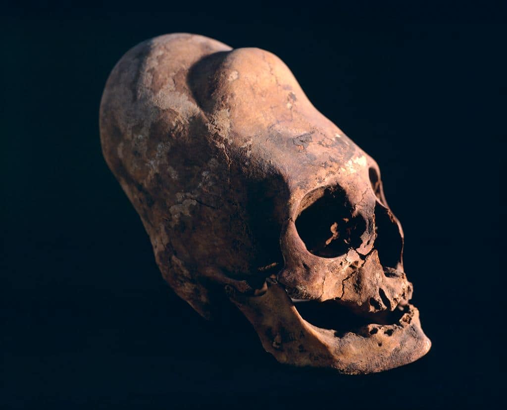 PERU - skull