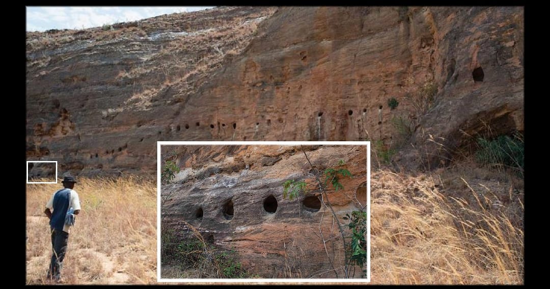 Teniky: circle niches