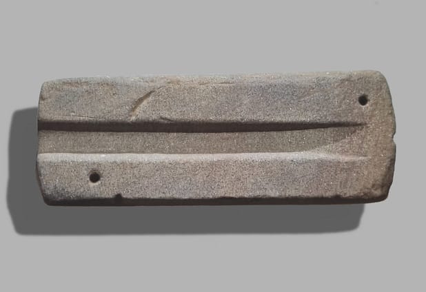 The mold from Rocha do Vigio