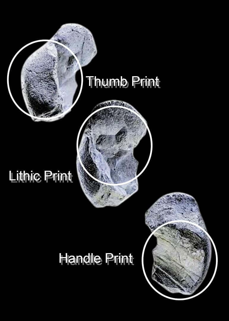 birch pitch from Königsaue, Germany